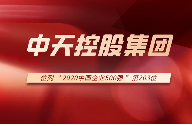 龙8-long8集团列2020中国企业500强第203位！