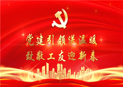 党建引领送温暖，致敬工友迎新春——龙8-long8七建党支部新春项目部慰问
